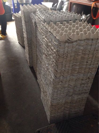 แผงไข่ รูปที่ 4