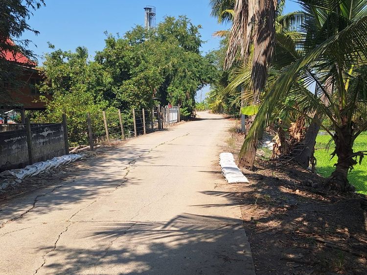 ขายที่ดิน 4-0-87 ไร่ อ.ลาดบัวหลวง จ.พระนครศรีอยุธยา, ใกล้ถนนหมายเลข 4009 รูปที่ 2