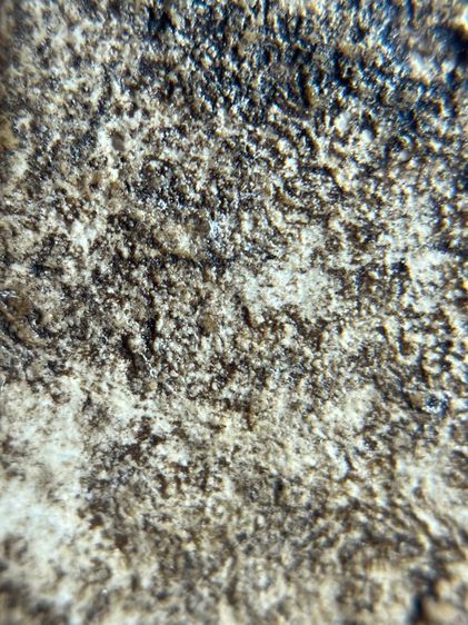 พระ บางขุนพรหม ปางไสยาสน์ มีคราบกรุเก่าสวยน่าเก็บสะสม รูปที่ 12