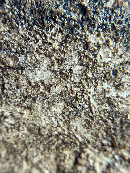 พระ บางขุนพรหม ปางไสยาสน์ มีคราบกรุเก่าสวยน่าเก็บสะสม รูปที่ 11