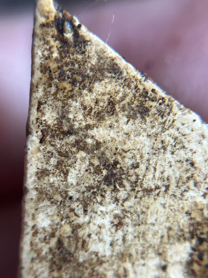 พระสามเหลี่ยมหน้าหมอน กรุเจดีย์เล็ก วัดบางขุนพรหม รูปที่ 9