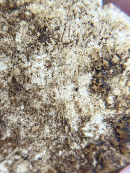 พระสามเหลี่ยมหน้าหมอน กรุเจดีย์เล็ก วัดบางขุนพรหม รูปที่ 8