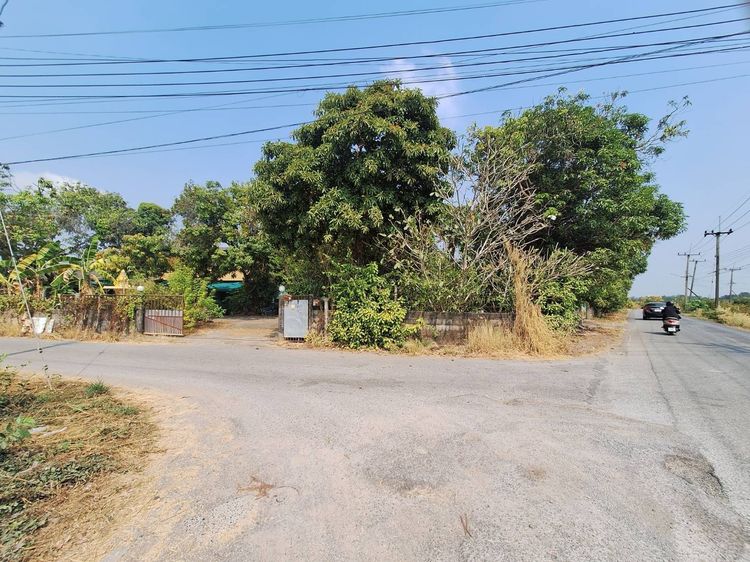 ขายที่ดิน พร้อมบ้าน 2 หลัง 1-0-25 ไร่ อ.ปากพลี จ.นครนายก