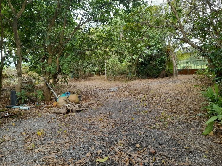 ขายที่ดิน พร้อมบ้าน 2 หลัง 1-0-25 ไร่ อ.ปากพลี จ.นครนายก รูปที่ 4