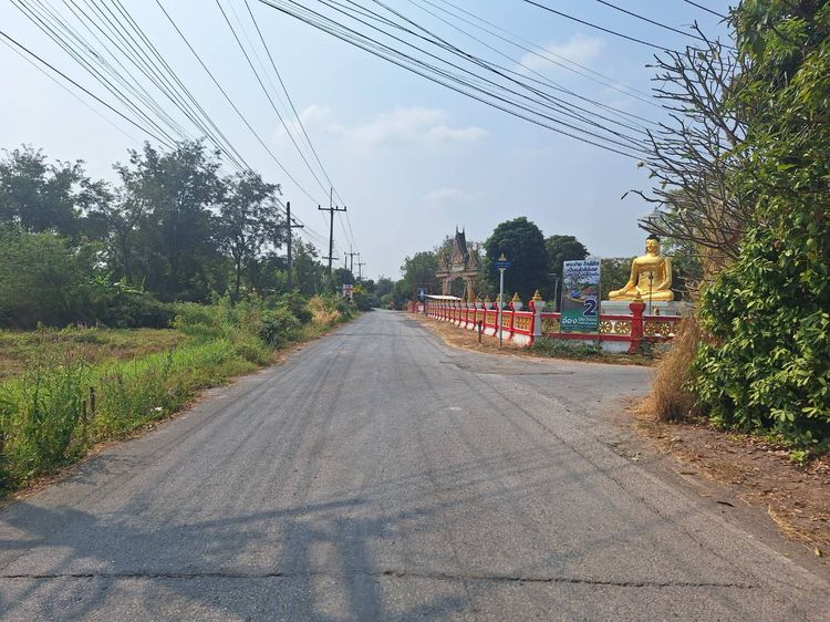 ขายที่ดิน พร้อมบ้าน 2 หลัง 1-0-25 ไร่ อ.ปากพลี จ.นครนายก รูปที่ 3