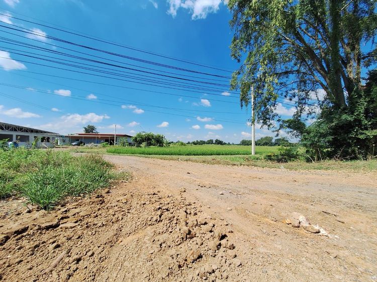 ที่ดินเปล่า 15 ไร่, ติดถนนหมายเลข 117 (นครสวรรค์ – พิจิตร) อ.โพธิ์ทะเล จ.พิจิตร