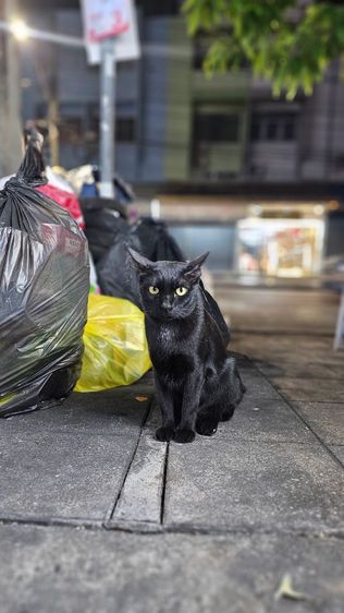 เทสประกาศ อย่าพึ่งลบจ้ะ