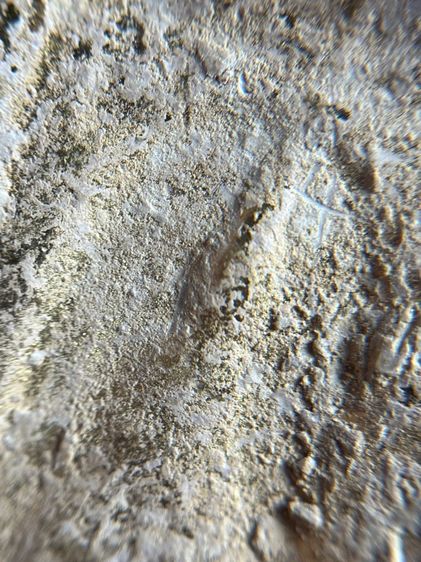 หลวงปู่ทวด พิมพ์สี่เหลี่ยม เนื้อเปียกทองหลังเจดีย์ เนื้อแบบนี้มีน้อยหายากน่าเก็บสะสม รูปที่ 8