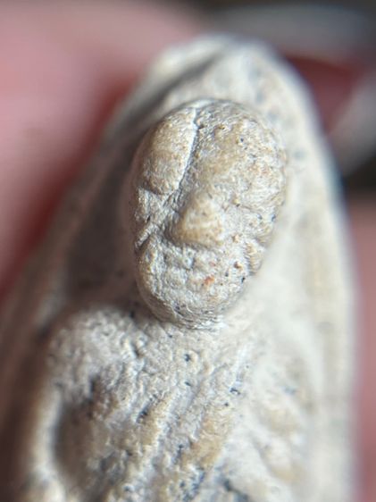 หลวงปู่ทวดพิมพ์วัดปราสาทบุญญาวาส ปี 2506 เนื้อขาวผงพุทธคุณ รูปที่ 6