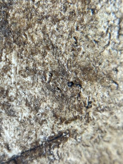 พระสมเด็จวัดระฆังพิมพ์ฐานแซม พระเก่าเนื้อสวย รูปที่ 11