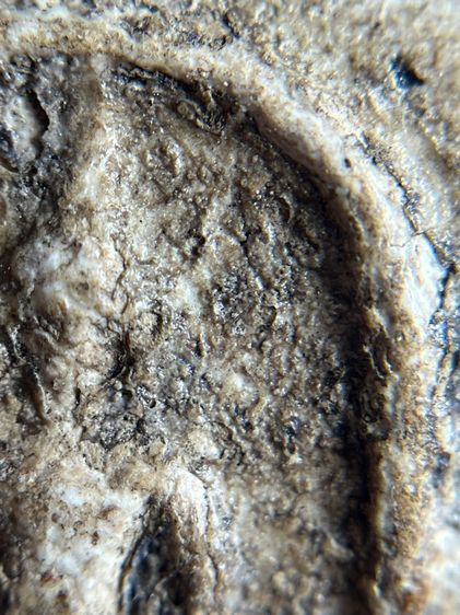 พระสมเด็จวัดระฆังพิมพ์ฐานแซม พระเก่าเนื้อสวย รูปที่ 7