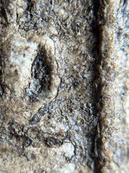 พระสมเด็จวัดระฆังพิมพ์ฐานแซม พระเก่าเนื้อสวย รูปที่ 8