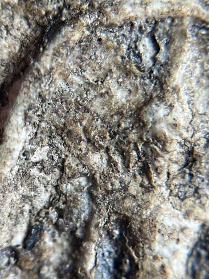 พระสมเด็จวัดระฆังพิมพ์ฐานแซม พระเก่าเนื้อสวย รูปที่ 10