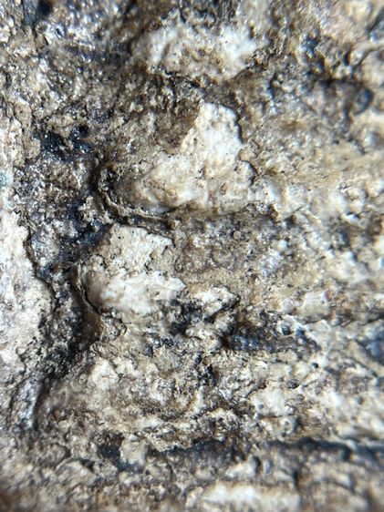 พระสมเด็จวัดระฆังพิมพ์ฐานแซม พระเก่าเนื้อสวย รูปที่ 5