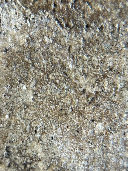 พระสมเด็จวัดระฆัง พิมพ์เจดีย์ มีคราบกรุเก่าติดรอบองดูเก่าสวยน่าเก็บสะสม รูปที่ 13