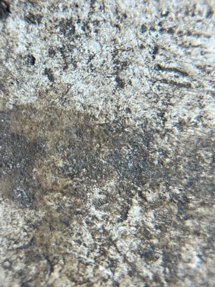 พระสมเด็จพิมพ์ปกโพธิ์เล็ก รูปที่ 14