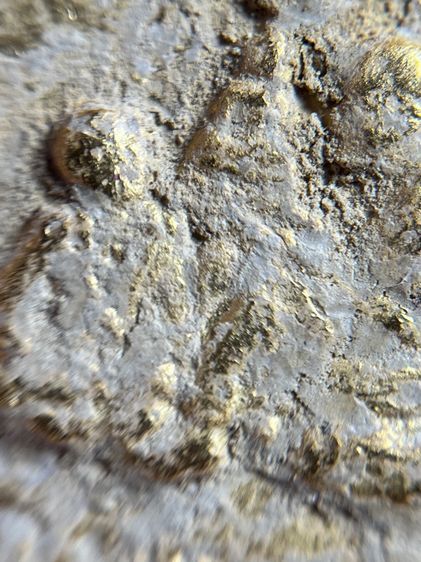 พระสมเด็จพิมพ์ใหญ่หลังสมเด็จโต รูปที่ 8