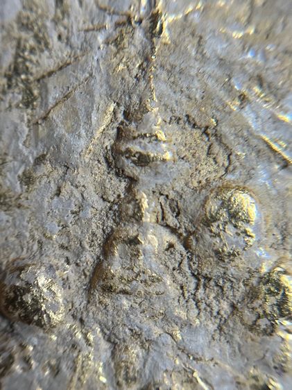 พระสมเด็จพิมพ์ใหญ่หลังสมเด็จโต รูปที่ 7