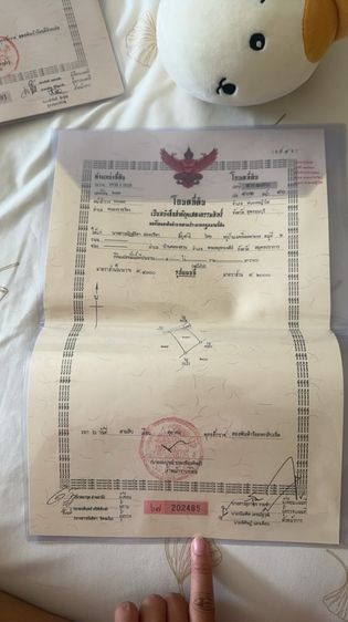 ที่ดินเปล่า 1 ไร่ ล้อมรั้วลวดหนาม แล้ว