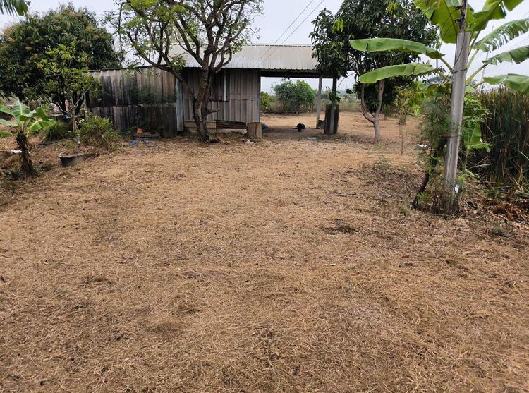 ที่ดิน ใกล้เส้นรถไฟ EEC บ้านโพธิ์ รูปที่ 3