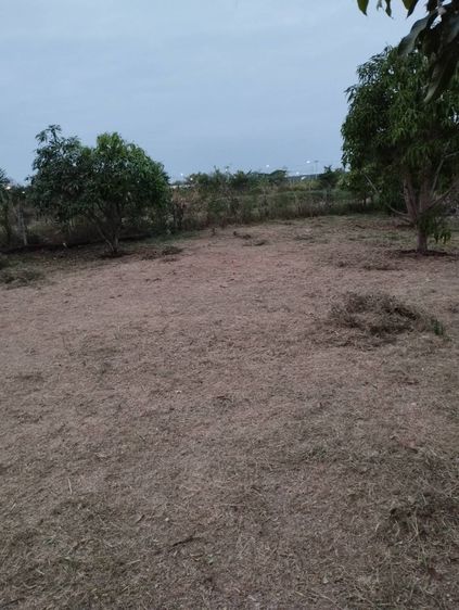 ที่ดิน ใกล้เส้นรถไฟ EEC บ้านโพธิ์ รูปที่ 2