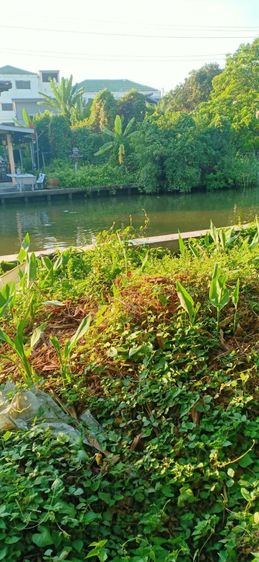 ที่ดินเปล่า รูปที่ 4