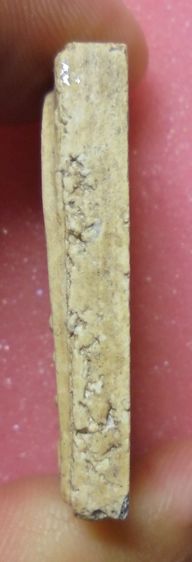 พระสมเด็จ ไม่ทราบที่ รูปที่ 5