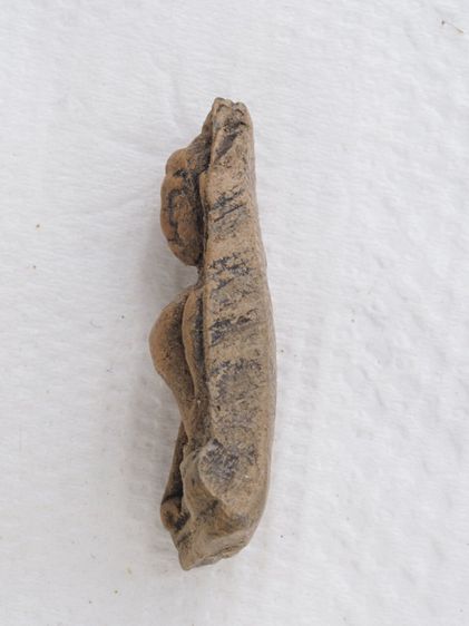 พระผงสุพรรณ 27116809 รูปที่ 3