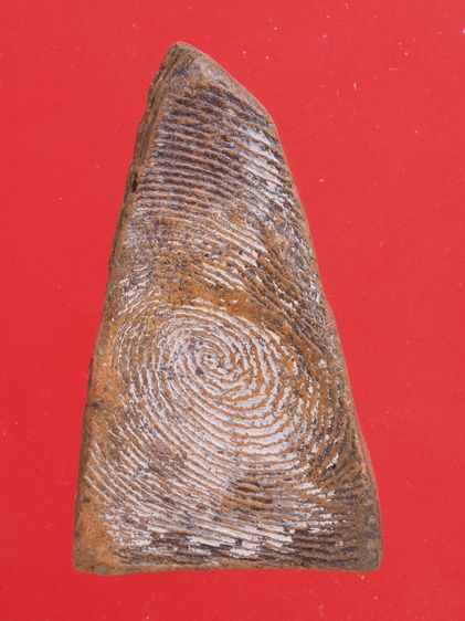 ถ74-ถ79.พระซุ้มกอ-พระผงสุพรรณ-พระลีลาองค์ๆละ 419 บ. รูปที่ 8