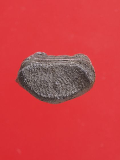 ถ80-ถ85.พระปิดตา-พระสมเด็จ-พระรอด องค์ๆละ 419 บ. รูปที่ 9