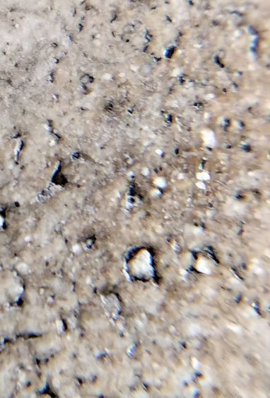 พระสมเด็จวัดระฆัง บางขุนพรหม เกศไชโย หลวงปู่ภู หลวงปู่นาค รูปที่ 5