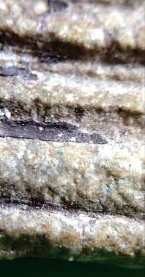 พระสมเด็จวัดระฆัง บางขุนพรหม เกศไชโย หลวงปู่ภู หลวงปู่นาค รูปที่ 17