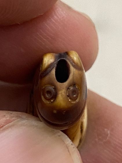 หลวงพ่อปาน รูปที่ 6