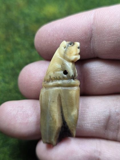 เสือหลวงพ่อปานเก่าๆ รูปที่ 2