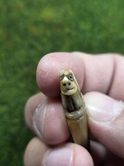 เสือหลวงพ่อปานเก่าๆ รูปที่ 3