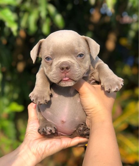 บูลลี่เมีย3ผู้1 รูปที่ 2