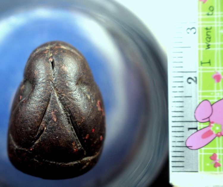 พระปิดตาหลวงพ่อแก้วพิมพ์ปั้น รูปที่ 2