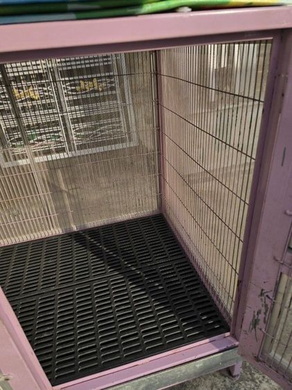 ขายกรงสุนัขสภาพดี รูปที่ 6