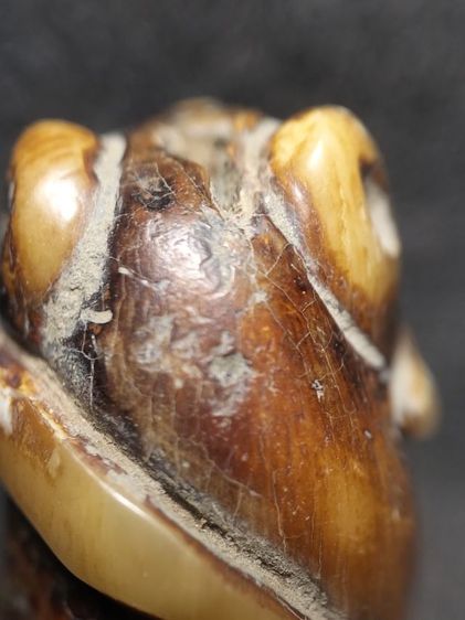 กำลังน่าห้อยครับสภาพหิ้ง รูปที่ 7