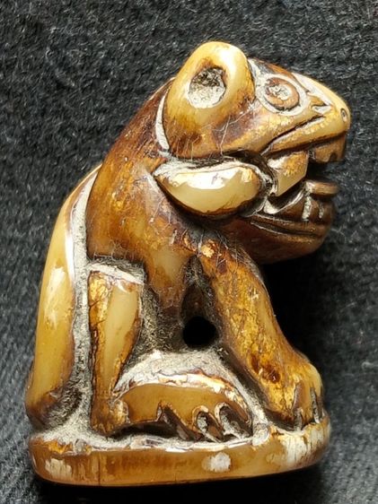 กำลังน่าห้อยครับสภาพหิ้ง รูปที่ 17