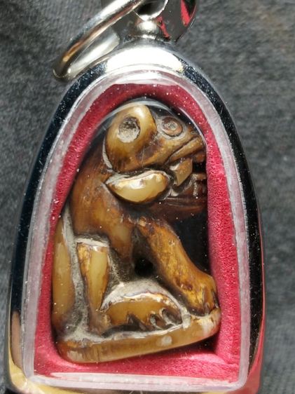 กำลังน่าห้อยครับสภาพหิ้ง รูปที่ 2