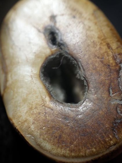 กำลังน่าห้อยครับสภาพหิ้ง รูปที่ 6