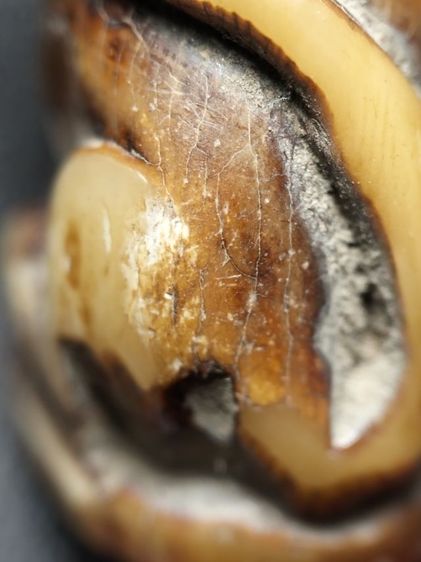 กำลังน่าห้อยครับสภาพหิ้ง รูปที่ 9