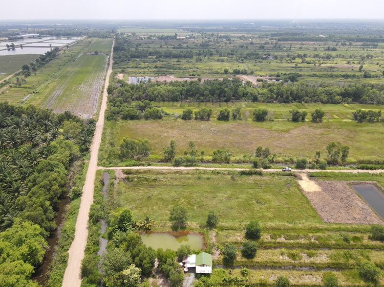 ที่ดินเชิงเกษตร ทำเลดี คลอง13 ต.หนองหมู อ.วิหารแดง จ.สระบุรี รูปที่ 4