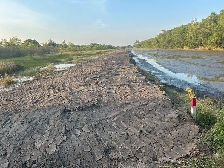 ขายที่ดินคลอง 13 หนองหมู วิหารแดง สระบุรี ติดเขตหนองเสือ รูปที่ 2