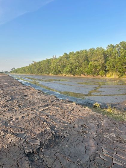 ขายที่ดินคลอง 13 หนองหมู วิหารแดง สระบุรี ติดเขตหนองเสือ รูปที่ 4