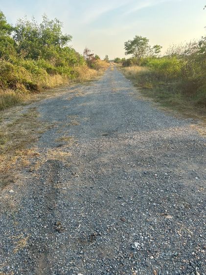 ขายที่ดินคลอง 13 หนองหมู วิหารแดง สระบุรี ติดเขตหนองเสือ รูปที่ 3
