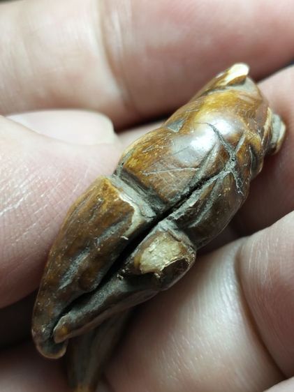 สวยคลาสสิคครับ รูปที่ 3