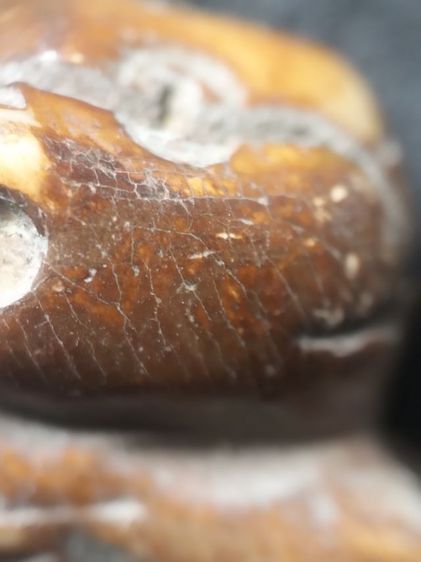 สวยคลาสสิคครับ รูปที่ 8