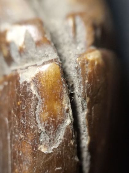 สวยคลาสสิคครับ รูปที่ 10